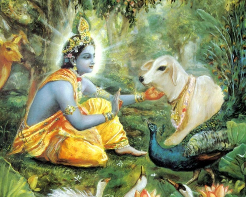 Krishna with cow